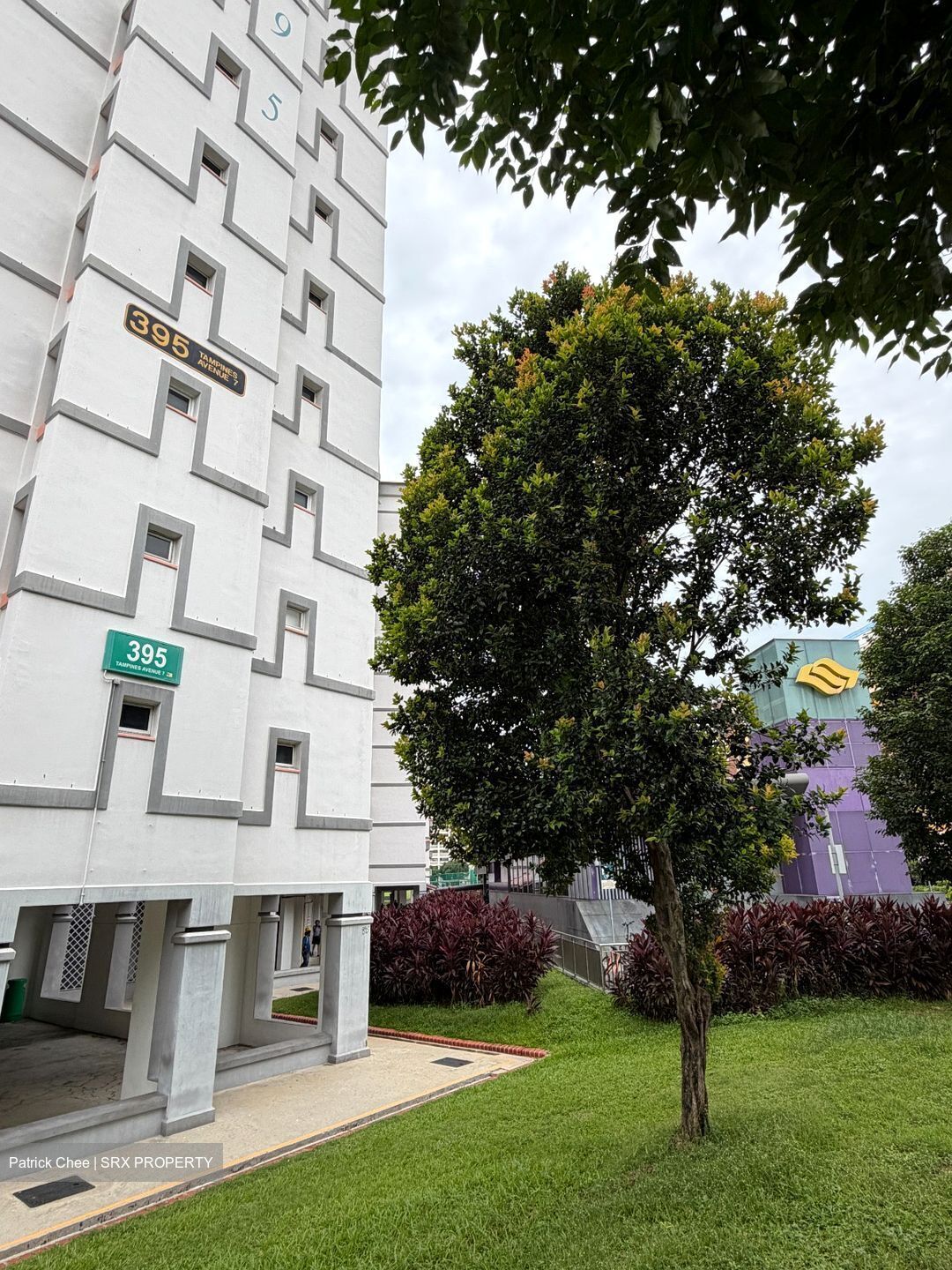 Blk 395 Tampines Avenue 7 (Tampines), HDB 5 Rooms #503055031